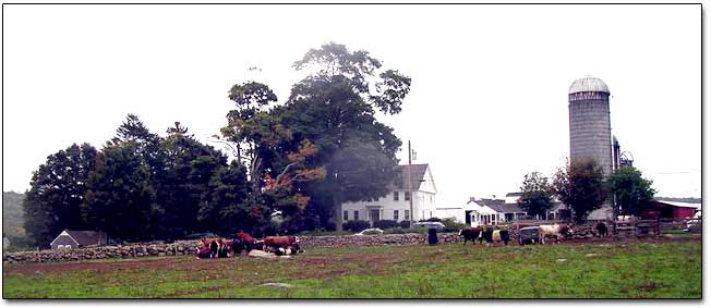 Colonial Farm