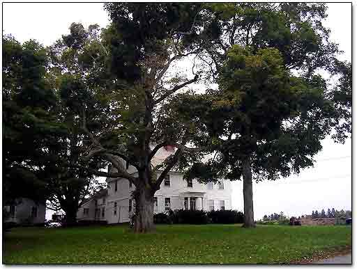 Colonial Farm House