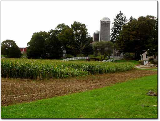 Farm Grounds