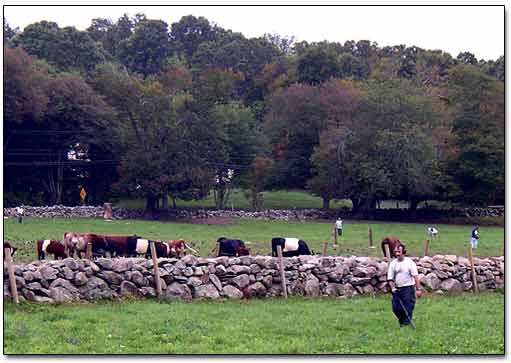 Treasure Hunters In Fields