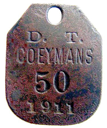 1911 NYS Coeymans Dog Tag