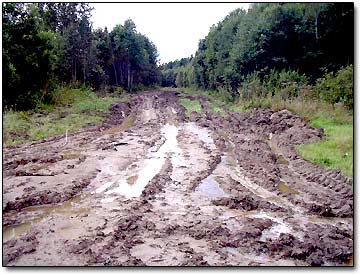 4WD in Mud Pool