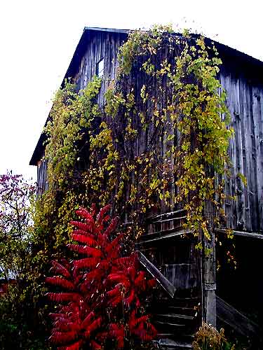 114 Old Barn, Upstate NY