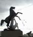 32- Sculptures on Annichkov Bridge, St. Petersburg, Russia