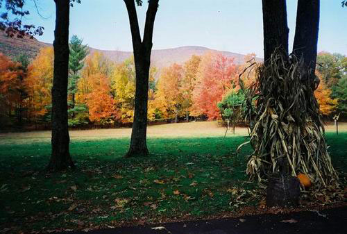 009- Fall in Catskills, NY