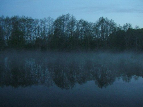 018- Morning on Luga River