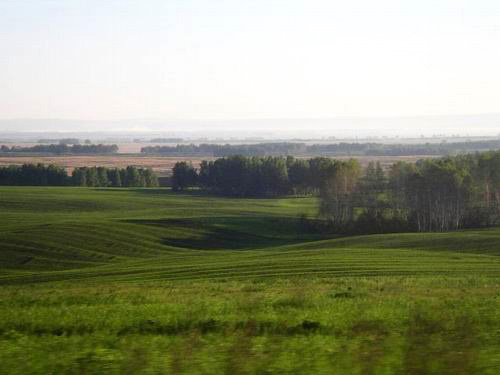 041- Western Siberian Plains