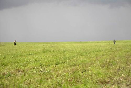 042- Metal Detecting in Hey Field, St. Petersburg Region, Russia