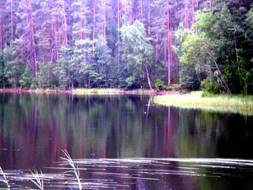 Berestovo Lake 2