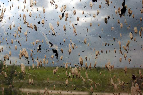 Dirt on Car Window