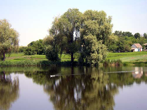 On the River