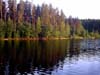 Berestovo Lake 3