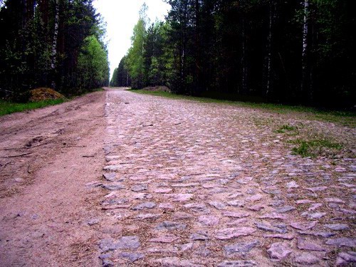 06- Cobbled Road in the Woods, St. Petersburg Region, Russia
