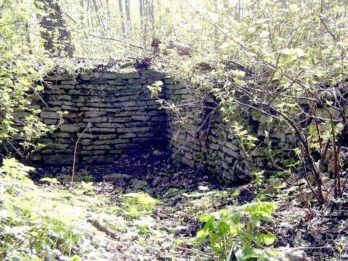 10- Root Cellar, Estonia