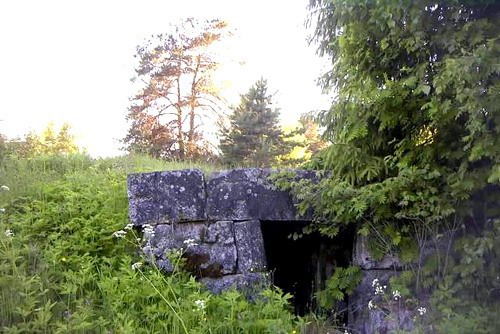 11- Root Cellar, Karelia, Russia