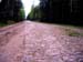 06- Cobbled Road in the Woods, St. Petersburg Region, Russia