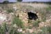 15- Underground Root Cellar Near Monastery