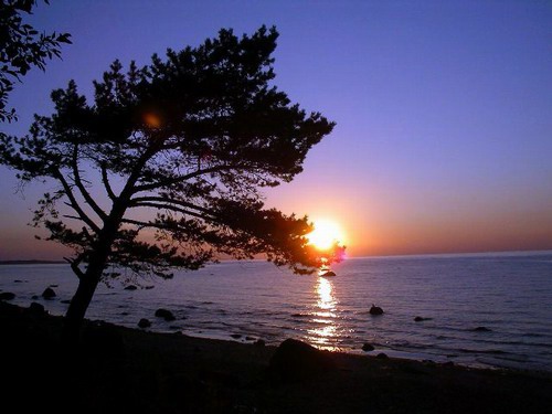 007- Baltic Sea Sunset><p>

<p id=