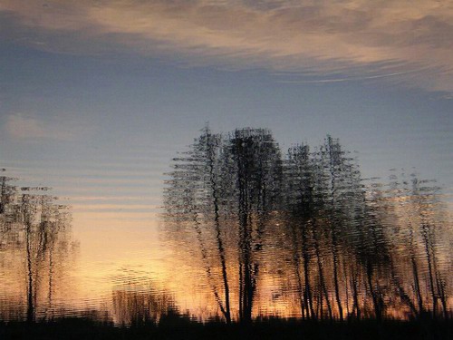 029- Sunset in Water Reflections><p>

  



<p id=