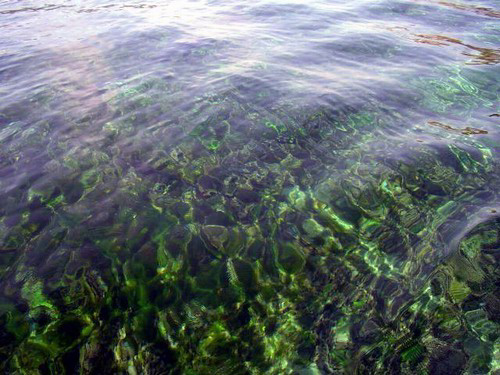 011- Crystal Clean Water of Baikal