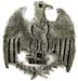 22 Silver Eagle Pin