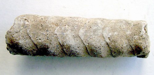 Fossil-Stoned Worm