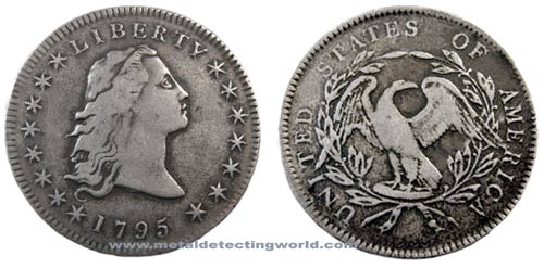 Half Dollar Flowing Hair