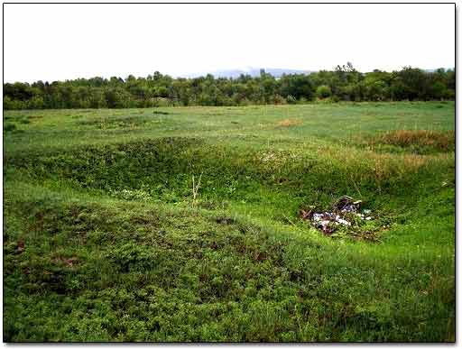 Old Root Cellar Hole, Foundation