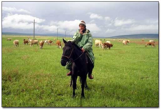 Shepherd Boy