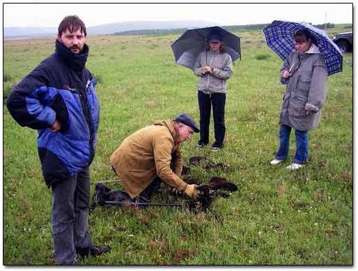 Digging Up A Coin