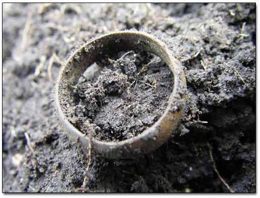 Gold Gilded Wedding Band, circa 19th Century