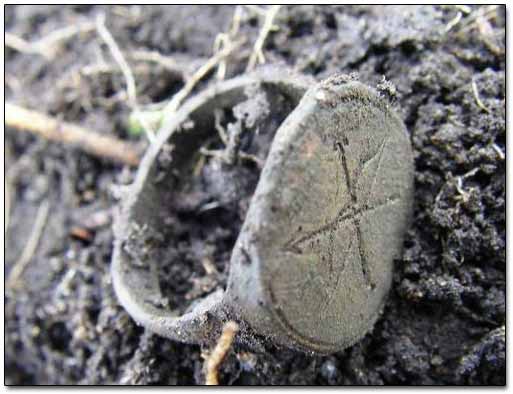 Awesome Old Bronze Jewelry Found with Metal Detector