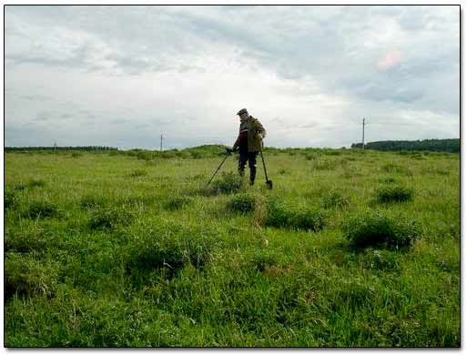 Metal Detecting Around Foundations