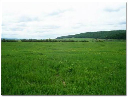 A Spot Where A Manor House Stood