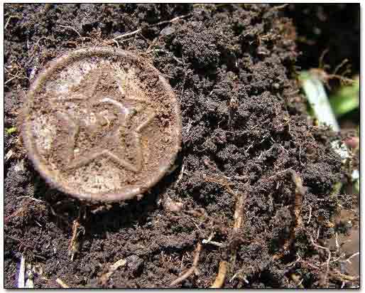 Red Army Uniform Tunic Button with Star