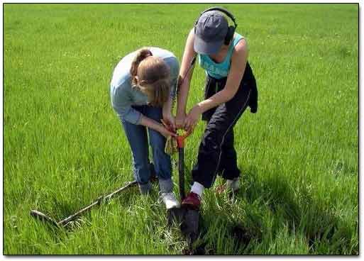 Girls Helping To Dig A Hole