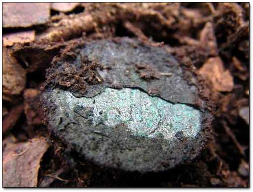 a 18th Century Copper Coin