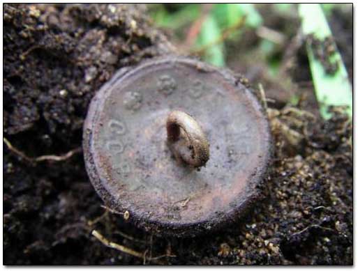 plain Civilian Silver-plated Coat Button