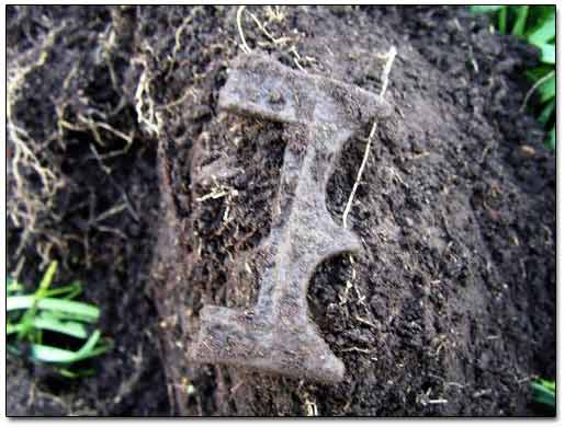 A Fragment of a Brass Bat Wing Belt Buckle