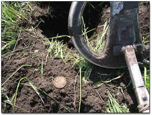 Dug Up Coin Next To Search Coil