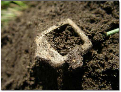 Small Shoe Strap Buckle Dug