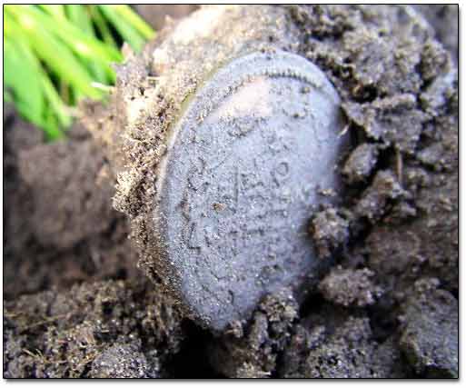 Coin Stuck To Chunk of Dirt