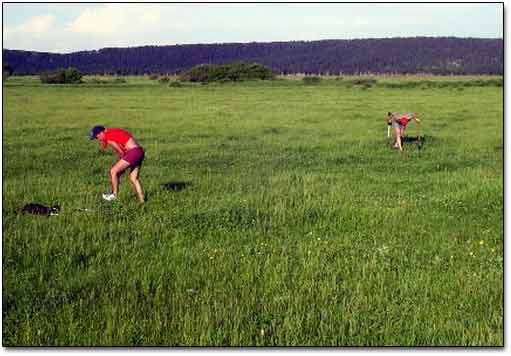 Guys From TV Crew Are Metal Detecting