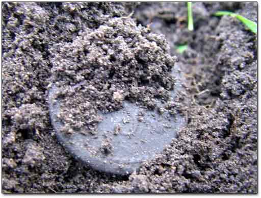 Dug Up Coin