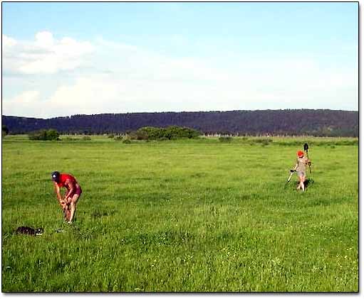 Beginners Metal Detecting