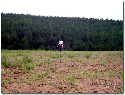 Treasure Hunter Rudolf in the Field