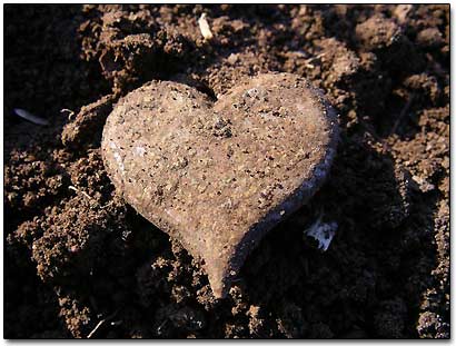 heart-shaped harness badge