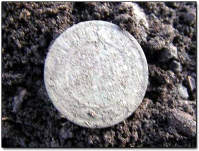 Coin Dug Up