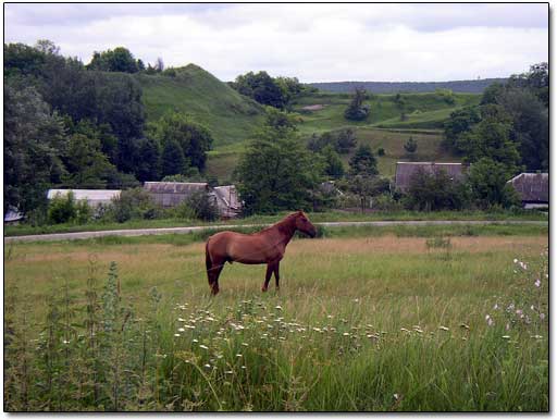 Village Bezradichi