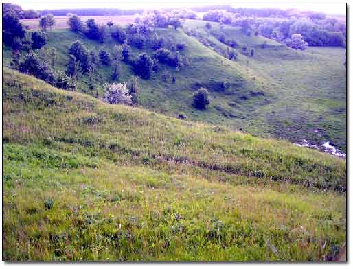 Looking Steep Slopes 